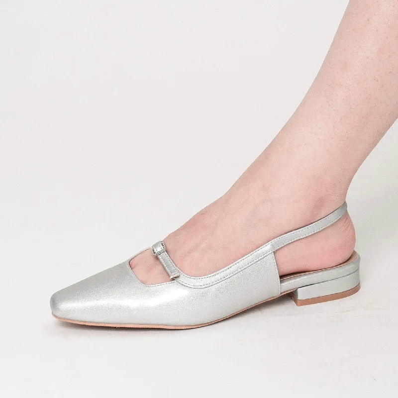 budget flats in city-Evi Silver